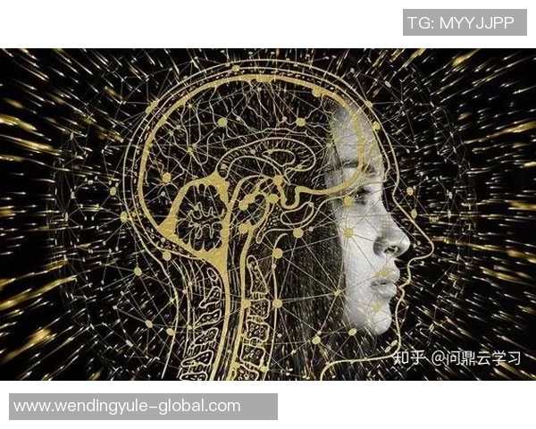 问鼎app-如何通过问鼎应用来提高数字化表现，一个企业智能指南-问鼎app